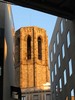 Late afternoon sun