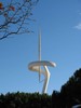 Symbol of the Olympics