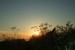 Last rays of the sun